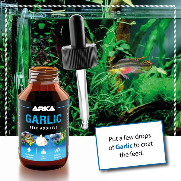 Arka Garlic Feed Additive 100ml