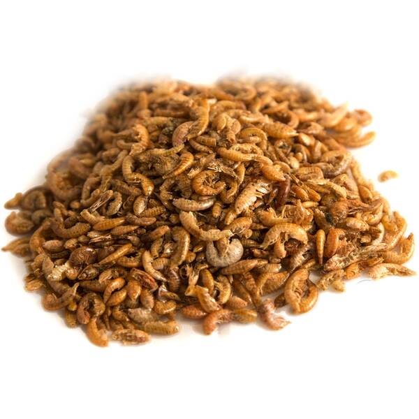 Stoffels Frozen Food Gammarus 100gr
