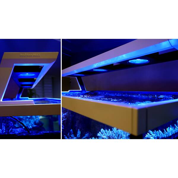 MAX® S 500 LED Complete Reef System - White