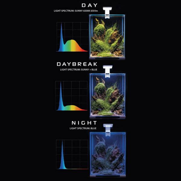 Aquael Fish & Shrimp Set Duo Day & Night 35 Black