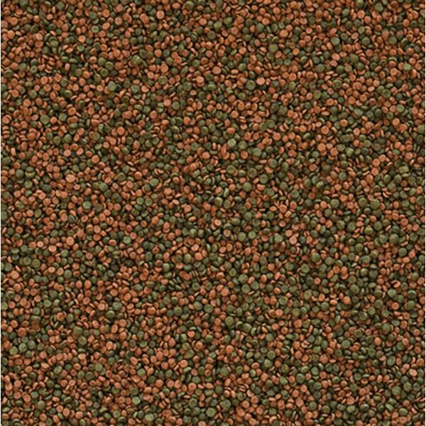 Tropical Cichlid Gran 1000ml