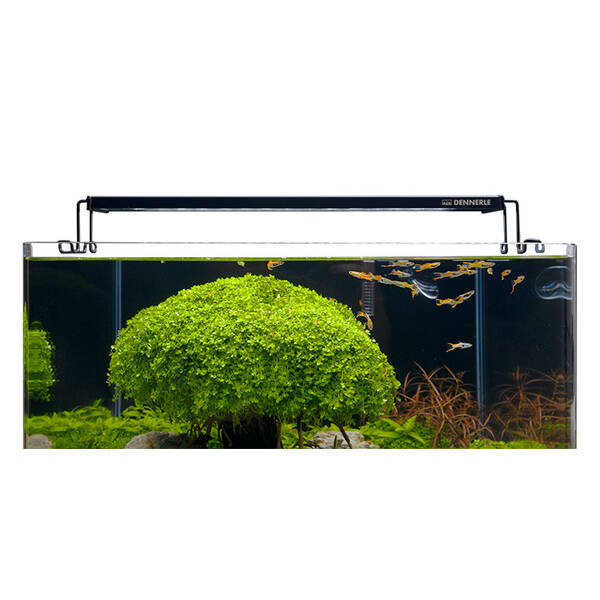 Dennerle Trocal Flat 35