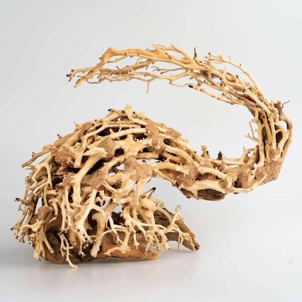 Dragon Bonsai M - 30x23x13cm