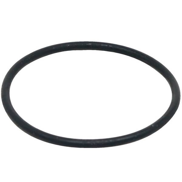Fluval FX5 O-Ring (A20210)