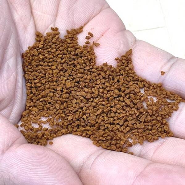 Discus Food Grand Champion Granulate 230gr
