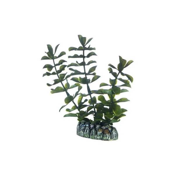 Hobby Bacopa 13 cm