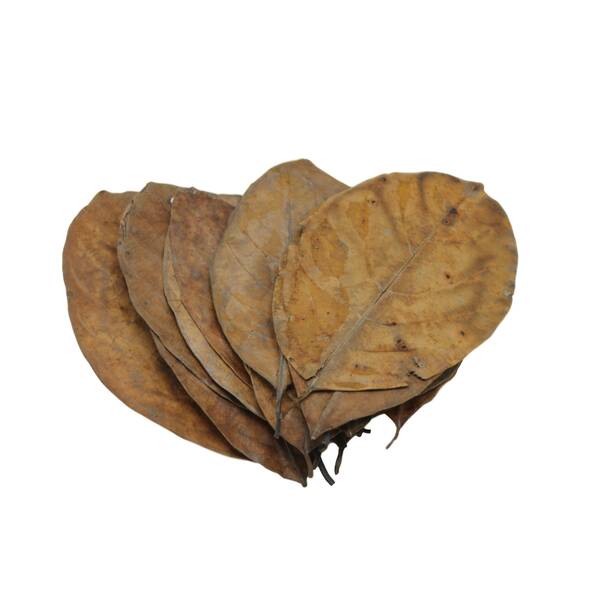 Nature4Pets Jack leaves 20pcs 12-19cm