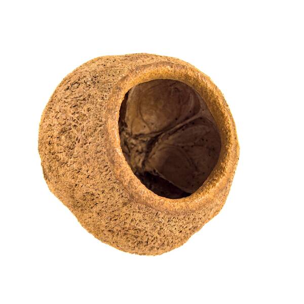 Nature4Pets Sapucaia Pods XL