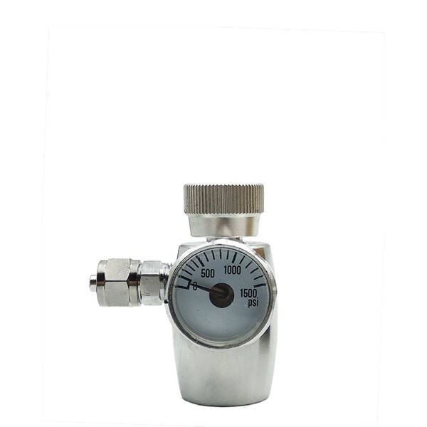 Blau Nano Regulator for disposable cartridge