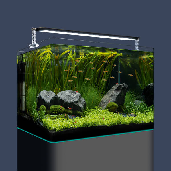 Dennerle Nano Tank Plant Pro 70lt 50x39x36cm Dennerle Nano Tank Plant Pro 70lt 50x39x36cm