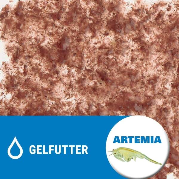Tetra Fresh Delica Brine Shrimps 48g