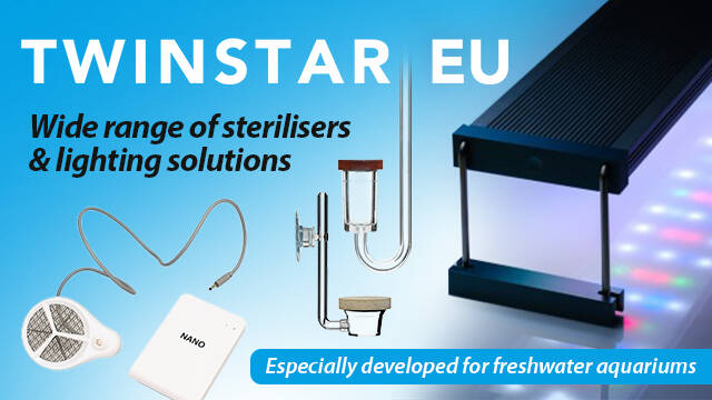twinstar