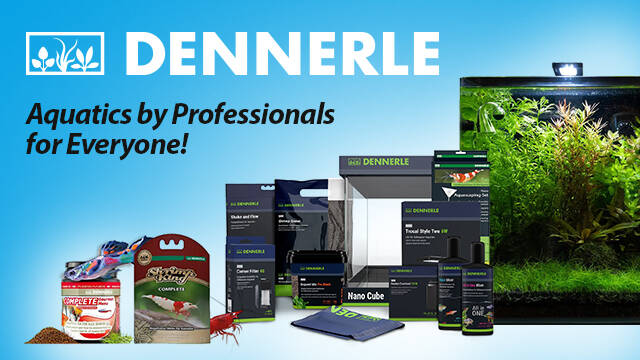 dennerle