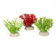 Aqua Della Plant Hottonia Mixed Colors S 10CM Aqua Della Plant Hottonia Mixed Colors S 10CM