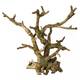 Aqua Della Bonsai Brown (234424094) Aqua Della Bonsai Brown (234424094)