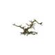 Aqua Della Bonsai Grey 35,5x10x17,5CM Aqua Della Bonsai Grey 35,5x10x17,5CM