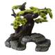 Aqua Della Bonsai ML - 26x17,5x24CM Aqua Della Bonsai ML - 26x17,5x24CM