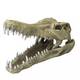 Aqua Della Crocodile Head L - 32,5x17x20,5CM Aqua Della Crocodile Head L - 32,5x17x20,5CM