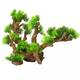 Aqua Della Flora Scape 12 XL - 33,5x16x27,5CM Aqua Della Flora Scape 12 XL - 33,5x16x27,5CM