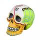 Aqua Della Los Muertos Skull 3 Aqua Della Los Muertos Skull 3