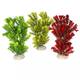 Aqua Della Plant canadensis Mixed colors M 23cm Aqua Della Plant canadensis Mixed colors M 23cm