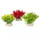 Aqua Della Plants Glosso S 9cm Aqua Della Plants Glosso S 9cm