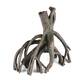 Aqua Della Root Mangrove M - 37x21,5x33,5CM Aqua Della Root Mangrove M - 37x21,5x33,5CM