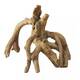 Aqua Della Root mangrove SM - 17x11,5x14CM Aqua Della Root mangrove SM - 17x11,5x14CM