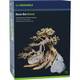 Dennerle Decor Bonsai Box Dennerle Decor Bonsai Box