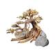 Dennerle Decor Bonsai Box Dennerle Decor Bonsai Box