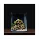 Dennerle Decor Bonsai Box Dennerle Decor Bonsai Box