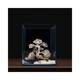Dennerle Decor Bonsai Box Dennerle Decor Bonsai Box