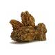 Dragon Stone 10-30cm (1kg) Dragon Stone 10-30cm (1kg)