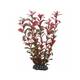 Hobby Ludwigia 25 cm