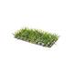 Hobby Plant Mat 2 Hobby Plant Mat 2