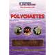 Ocean Nutrition Polychaetes 100 gr