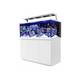 MAX® S 650 LED Complete Reef System - White