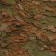 Tropical Cichlid Color Flakes 1000 ml Tropical Cichlid Color Flakes 1000 ml