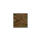 Tropical Cichlid Color Flakes 100 ml Tropical Cichlid Color Flakes 100 ml