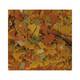 Tropical Goldfish Color Flakes 250 ml Tropical Goldfish Color Flakes 250 ml