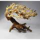 Wave Bonsai S Wave Bonsai S