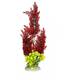Aqua Della Plant Elodea Densa XL 46cm Aqua Della Plant Elodea Densa XL 46cm