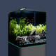 Dennerle Nano Cube Complete 60L 38x38x43cm Dennerle Nano Cube Complete 60L 38x38x43cm