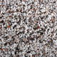 Europet Bernina Gravel Calstone 2-3mm 8kg