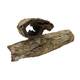 Nature4Pets Catappa Bark Tubes 1pcs 3-6cmx12-20cm