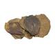 Nature4Pets Catappa Xs Nano 10pcs 11-11cm Nature4Pets Catappa Xs Nano 10pcs 11-11cm