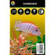 Stoffels Frozen Food Gammarus 100gr Stoffels Frozen Food Gammarus 100gr