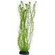 Hobby Lagarosiphon 34 cm Hobby Lagarosiphon 34 cm