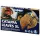 Hobby Catappa Leaves XL 12pcs.