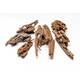 Dragon Wood 20-50cm (1kg) Dragon Wood 20-50cm (1kg)
